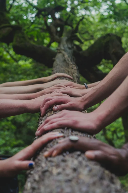 Community Organizations