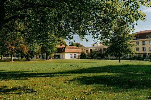 Lawn and Exterior